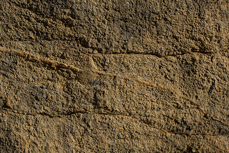作为背景纹理的岩石或石头表面沉积花岗岩石灰石编队材料悬崖石板地面建筑学峡谷图片