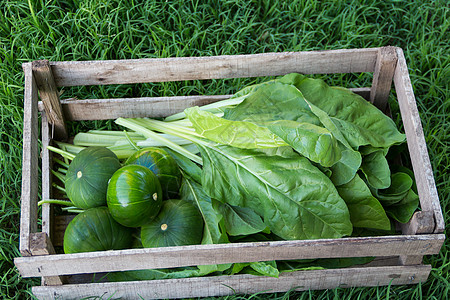 装有蔬菜 饼干 和花椰子的木箱农业生产沙拉食物饮食变种盒子植物菜地萝卜图片