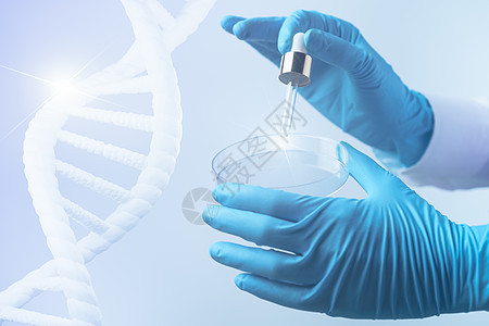 科学家手握着带有DNA和科学背景的花生盘 3D投影生物微生物学手套防护服技术蓝色盘子化学生物学测试图片