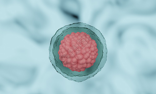 3d 人体细胞或胚胎干细胞显微镜背景  3d 渲染宏观生活核仁插图生物癌症基因生物学药品治疗图片