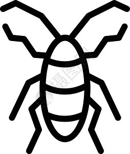昆虫漏洞蟑螂野生动物插图收藏蚂蚁翅膀动物害虫蜜蜂图片