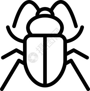 昆虫蝴蝶甲虫野生动物插图蟑螂漏洞蚊子害虫蚂蚁蜜蜂图片