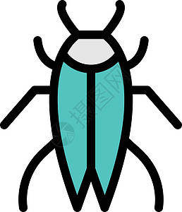 昆虫漏洞插图瓢虫野生动物翅膀甲虫蚊子黑色蚂蚁蜜蜂图片