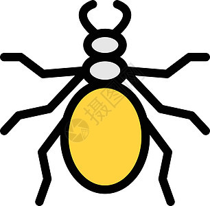 蚂蚁甲虫生物昆虫荒野漏洞野生动物动物艺术插图害虫图片