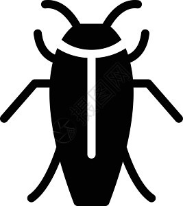 昆虫蚂蚁害虫蜜蜂瓢虫甲虫翅膀野生动物蝴蝶黑色蚊子图片