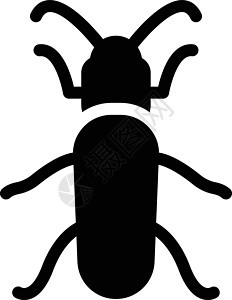昆虫蟑螂漏洞动物园野生动物蜻蜓荒野插图蚂蚁蜘蛛甲虫图片