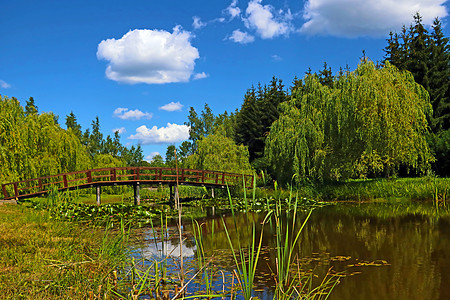 湖对面一个美丽的木制行走道假期木桥旅游小屋木头花园公园森林风景小路图片