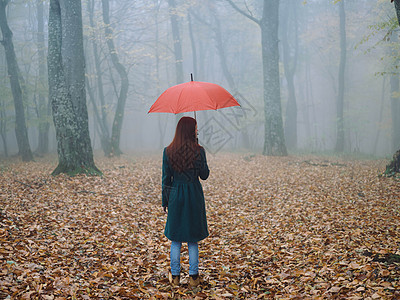 秋雾中带红雨伞的女人 黄色的黄叶 新鲜空气图片