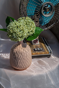 手工陶瓷花瓶中的绿色花束和粉红色纹理桌布上的旧古扇图片