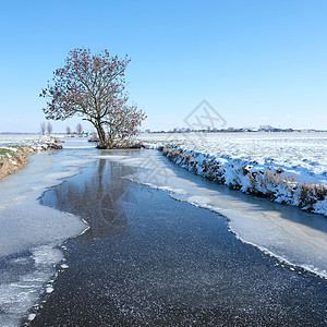 雨雪覆盖的草原风景 有树和冰冻的河渠草地农场天气环境植物群假期风车牧场国家场景图片