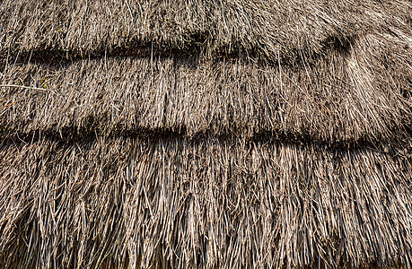 稻草屋顶纹理叶子材料木头小屋建筑学墙纸乡村房子茅草装饰图片