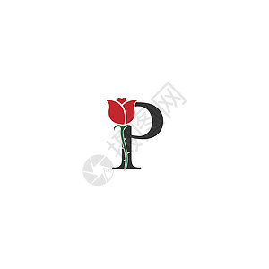 字母 P 标志图标与玫瑰设计 vecto图片