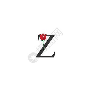 字母 Z 标志图标与玫瑰设计 vecto图片