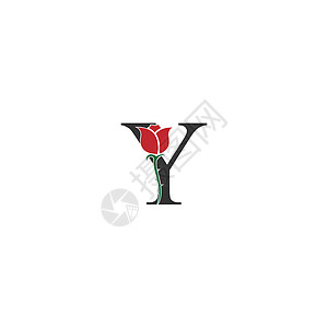 字母 Y 标志图标与玫瑰设计 vecto图片