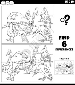 差异教育游戏与鸟类着色书 pag图片