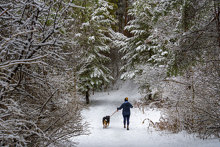 沿着狗走过冬天的森林图片