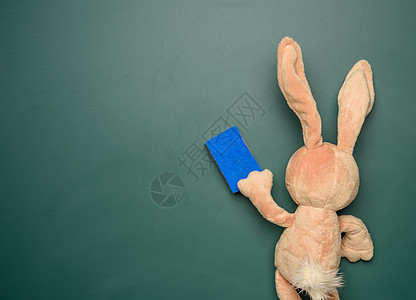 绿色粉笔学校黑板上的玩具兔子班级孩子学习柔软度毛皮乐趣教育动物娃娃广告牌图片