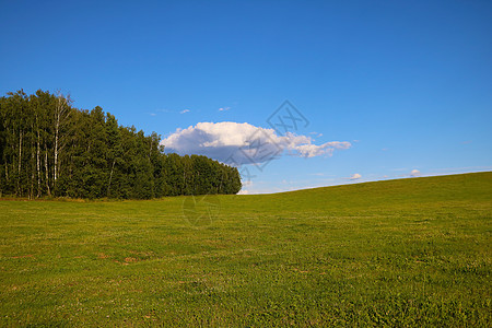 在阳光明媚的春天 绿色草原的美丽景色农业晴天土地农村场地蓝色太阳国家天空生长图片