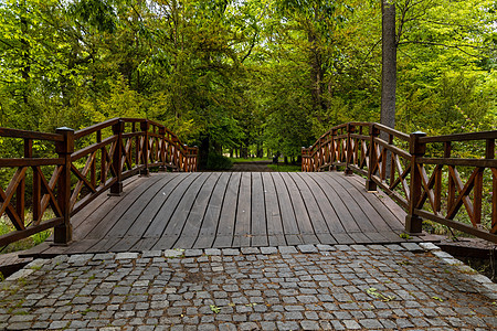 旧公园中的小型木桥 充满树木和灌木丛衬套岩石旅游花园反射石头叶子森林池塘楼梯图片
