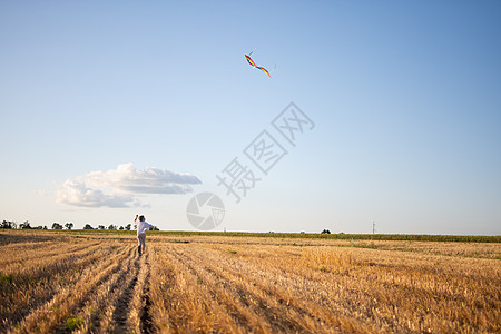 一个带着风筝的男孩在田里跑来跑去图片