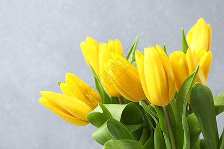 灰色背景上美丽的黄色新郁金香 文字空间植物群庆典植物香水乡村叶子木头桌子花束花瓣图片