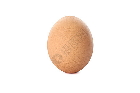 白背景孤立的棕色鸡蛋烹饪奶制品椭圆形产品美食早餐工作室食物宏观蛋壳图片