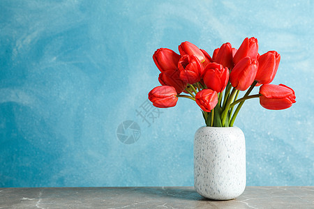 蓝色背景 文字空间的桌子上摆着美丽的红色郁金香季节庆典礼物花瓣妈妈们植物花朵叶子花束卡片图片