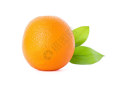 含白背景与世隔绝叶子的柑橘果 健康食品早餐橘子饮食派对食物果汁橙子宏观水果果皮图片