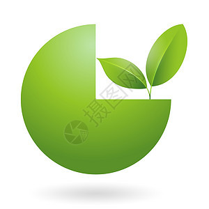 绿树叶生态自然元素 插图图片