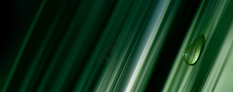 雨林中郁郁葱葱的绿色树叶上的特写水滴自然背景深色调处理植物气泡植物学热带飞沫棕榈丛林季节墙纸叶子图片