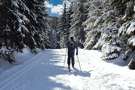 冬季雪林的跨国滑雪活动越野小路公园森林跑步场景季节旅行风景滑雪者图片