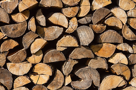 木材原木堆记录生长日志植物林业壁炉团体柴堆树干森林图片