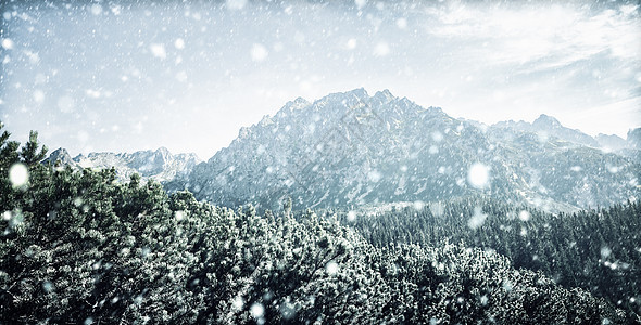 冬季塔特拉山下雪图片