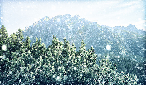 塔特拉山的落雪图片