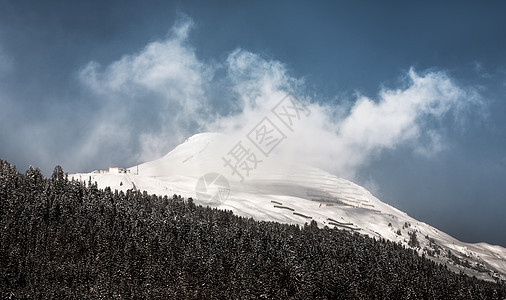 瑞士达沃斯附近的瑞士阿尔卑斯山乐趣地球蓝色顶峰环境旅游寒意森林荒野云杉图片