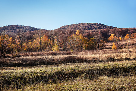 喀尔巴阡山秋金子农村季节草地橙子全景环境公园太阳木头图片