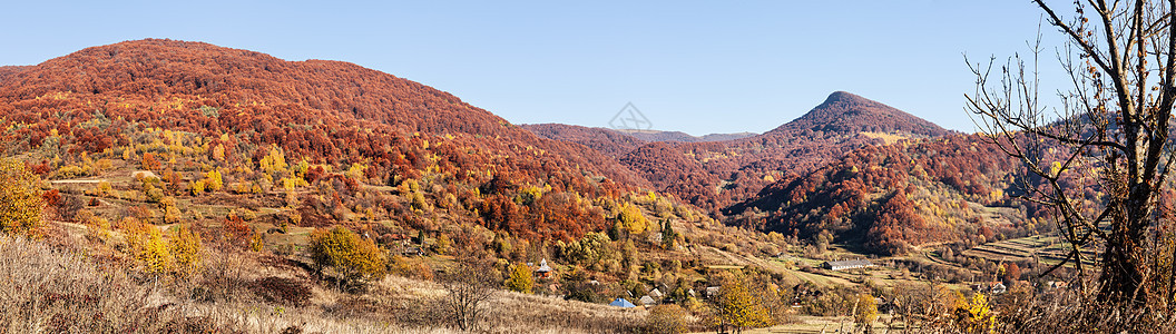 喀尔巴阡山秋植物群木头晴天天气草地阳光橙子天空季节农村图片