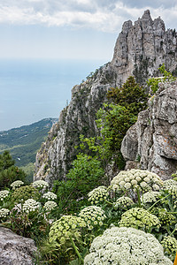 克里米亚山脉假期森林远足顶峰爬坡风景石头海岸旅游岩石图片