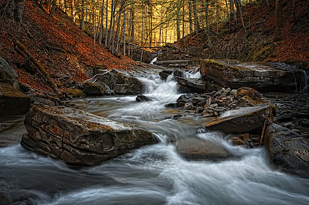 与溪流相伴的秋季森林图片