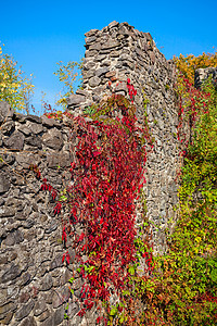 旧城堡墙壁天空农村绿色环境黄色公园旅行季节地标叶子图片