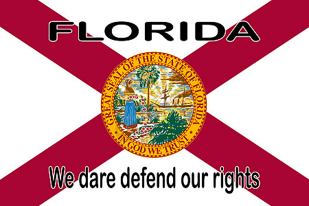 佛罗里达州州权利旗横幅状态艺术白色绘画红色旗帜热带假期国家图片