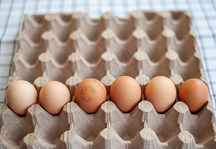 几个棕蛋排成一排躺在一个大的纸板储藏袋里贮存生食销售动物饮食早餐产品托盘蛋壳家禽图片