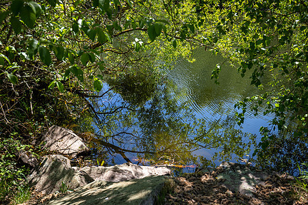 莱姆伯格山银湖的景色风景石头岩石植物叶子倒影树叶蓝色植被死水晴天图片