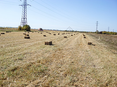 收割后有草篮的农业田土地收成天空收获场地草地黄色粮食小麦农场图片