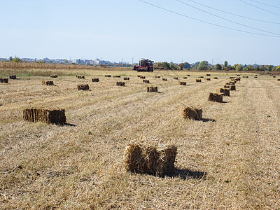 收割后有草篮的农业田干草稻草国家天空小麦收成草垛乡村农场粮食图片
