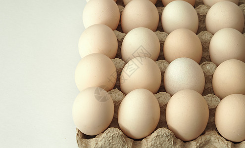 鸡蛋鸡蛋 在包装的自制生化鸡蛋里孵化器产品农场乡村熟食褐色蛋盒饲养场棕色画幅图片