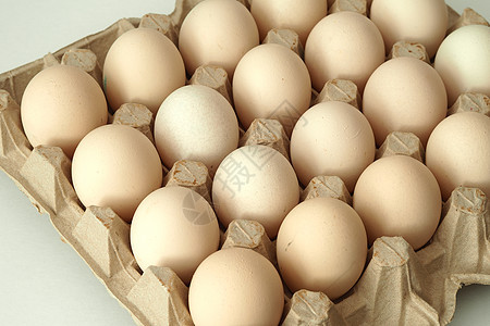 鸡蛋鸡蛋 在包装的自制生化鸡蛋里农业饲养场产品托盘画幅孵化器农场棕色饮食熟食图片