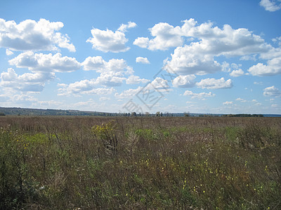 夏季乌克兰中部自然界 田地和林地草原环境土地森林场地草地孤独蓝天干草荒野图片