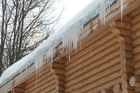 大冰柱挂在原木屋顶上 冬霜和泉水滴房子空气乡村日志生态图片