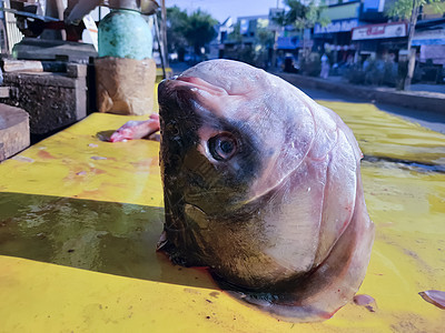 市场上的新鲜鱼街道海鲜食物对虾销售量零售钓鱼眼睛小贩店铺图片